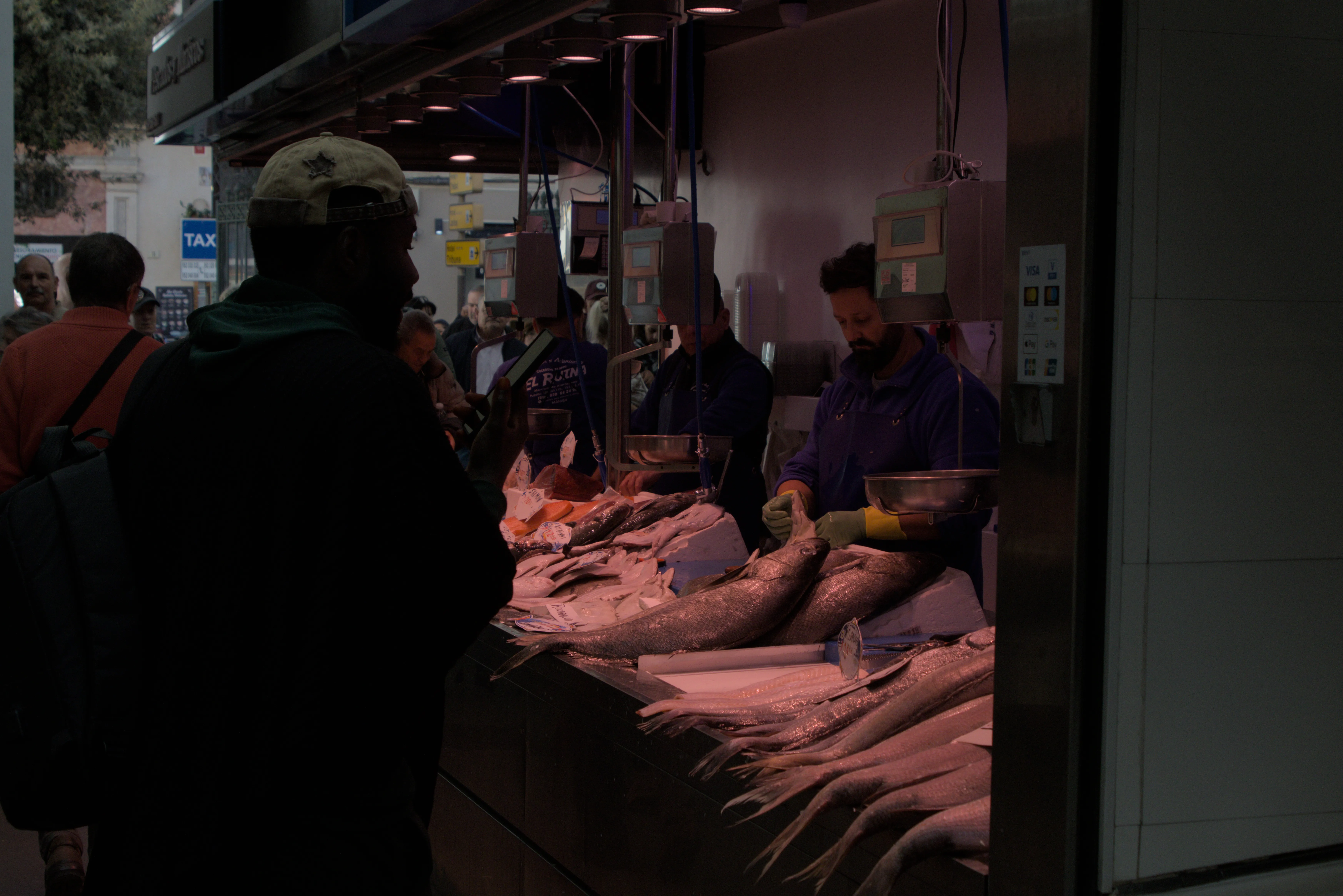 Tamron 28-300mm F3.5-6.3 (EF) - _I4A5009.webp